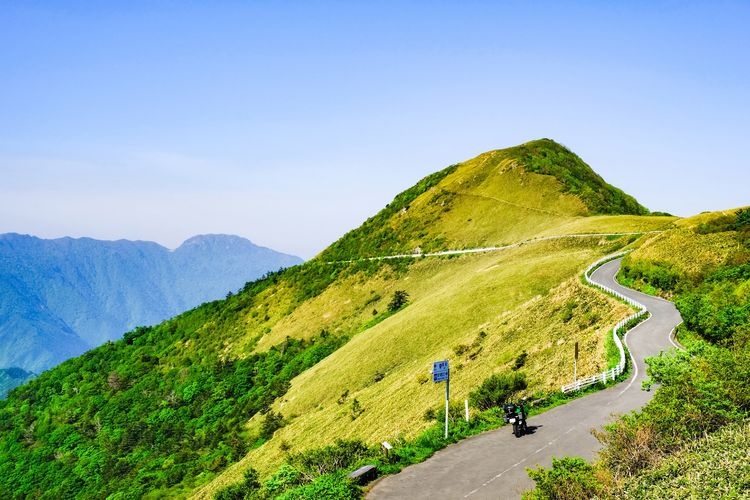 Bottle-Shaped Forest Road