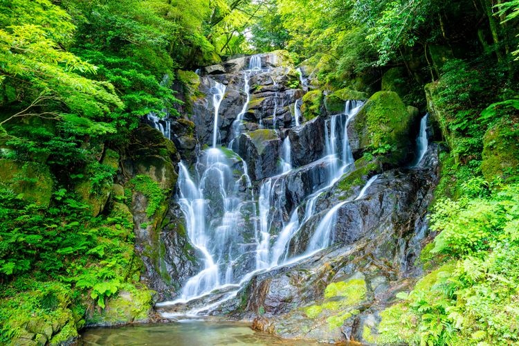 Tourist destination images of Shiraito Falls(3)