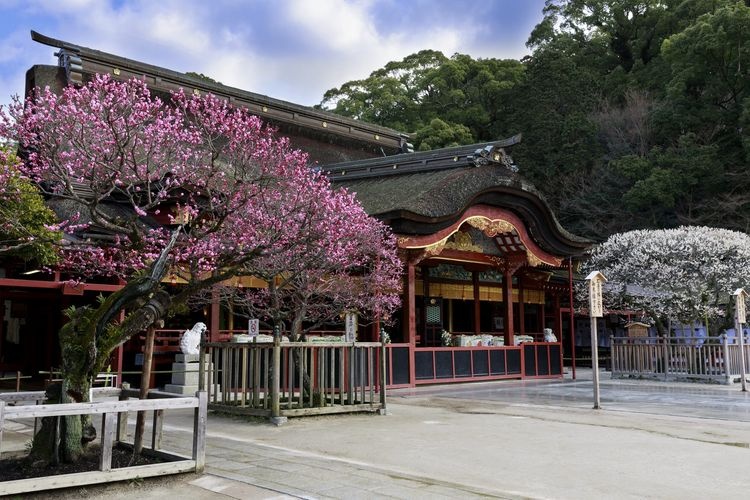 Komyozenji Temple