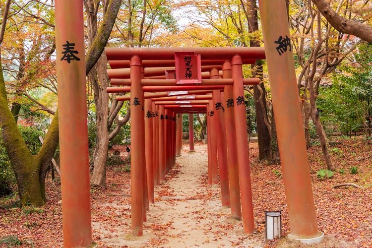 Hooman-gu Kamado Shrine