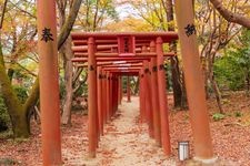 Tourist destination images of Hooman-gu Kamado Shrine(1)