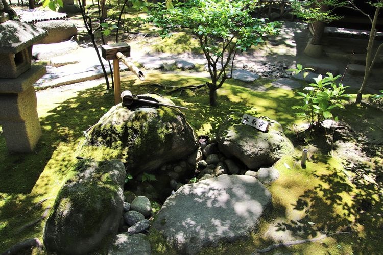 Tourist destination images of Rakusuien Garden(3)