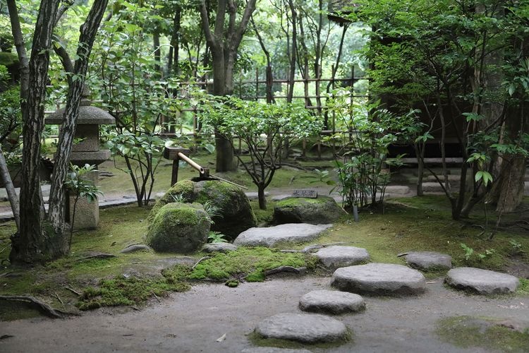 Rakusuien Garden