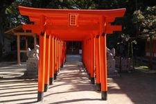 Tourist destination images of Sumiyoshi Shrine(1)