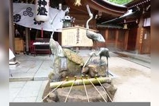 Tourist destination images of Kushida Shrine(3)