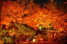 Tourist destination images of Kitakyushu Municipal Kokura Castle Garden(2)