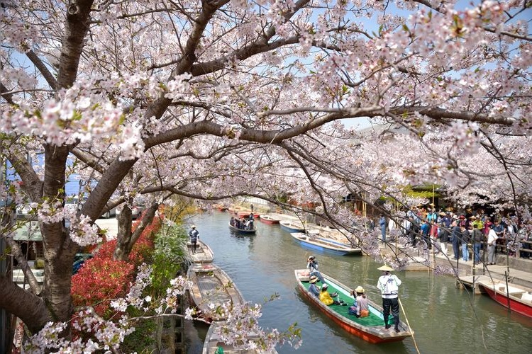 Yanagawa Ohori Meguri (Paseo en Bote por los Canales de Yanagawa) 2