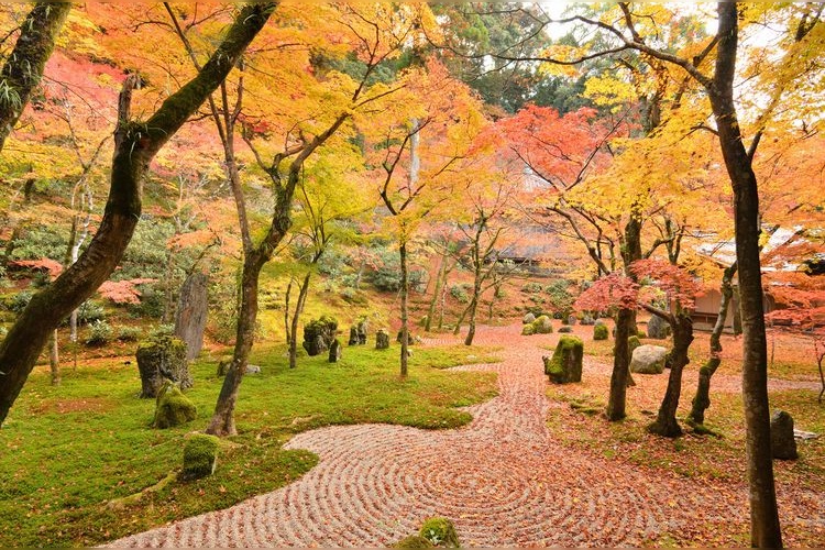 Komyozen-ji Temple