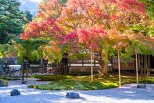 Tourist destination images of Sennyoji Temple(1)