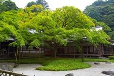 Tourist destination images of Sennyoji Temple(4)