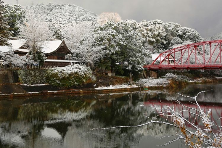 川上峡の観光地画像(2)
