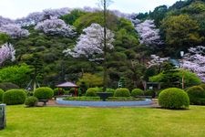 Tourist destination images of Yutoku Inari Shrine(5)