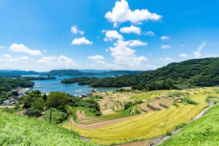 Tourist destination images of Oura Rice Terraces(2)