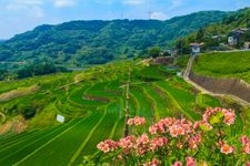 Tourist destination images of Oura Rice Terraces(1)