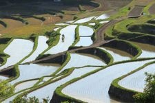 Tourist destination images of Oura Rice Terraces(3)