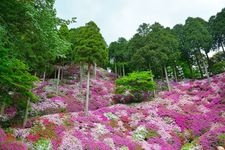 Tourist destination images of Daikosen-ji Temple(2)