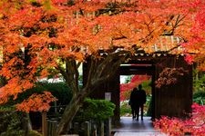 Tourist destination images of Daikosen-ji Temple(3)