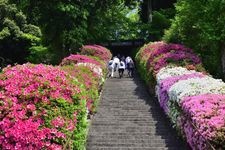 Tourist destination images of Daikosen-ji Temple(4)