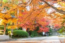 Tourist destination images of Daikosen-ji Temple(5)