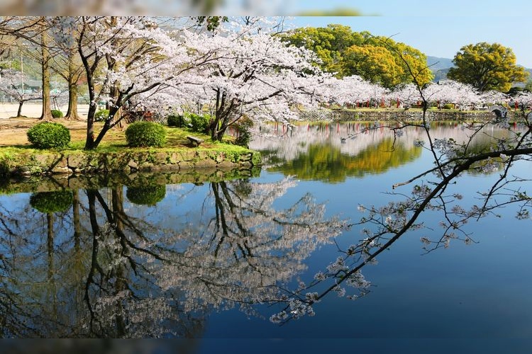 Tourist destination images of Ogi Park(2)
