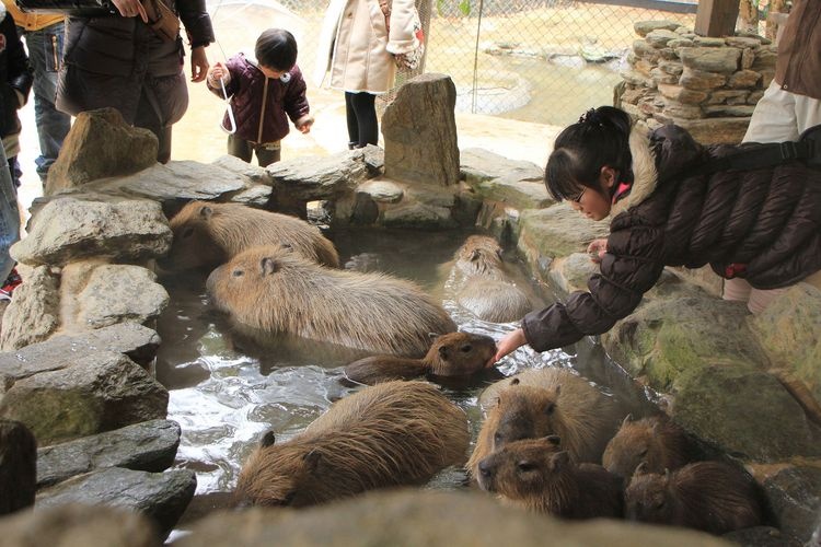 长崎生物公园