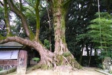 Tourist destination images of Aoi Aso Shrine(3)
