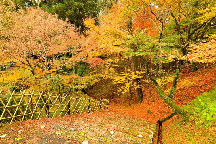 Hitoyoshi Castle Ruins 3