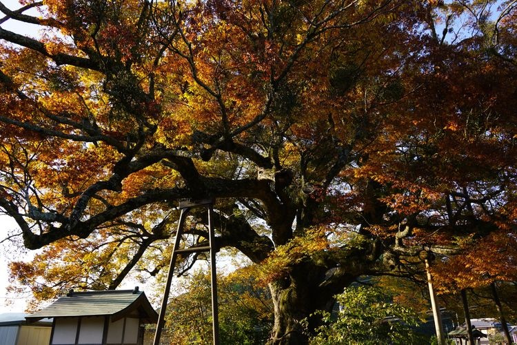 Takamori Yusui Tunnel Park