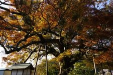 Tourist destination images of Takamori Yusui Tunnel Park(1)