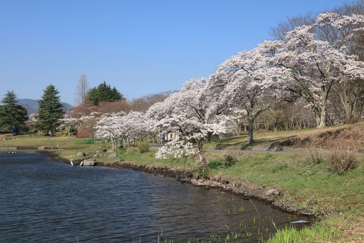 Lago Shikako 3