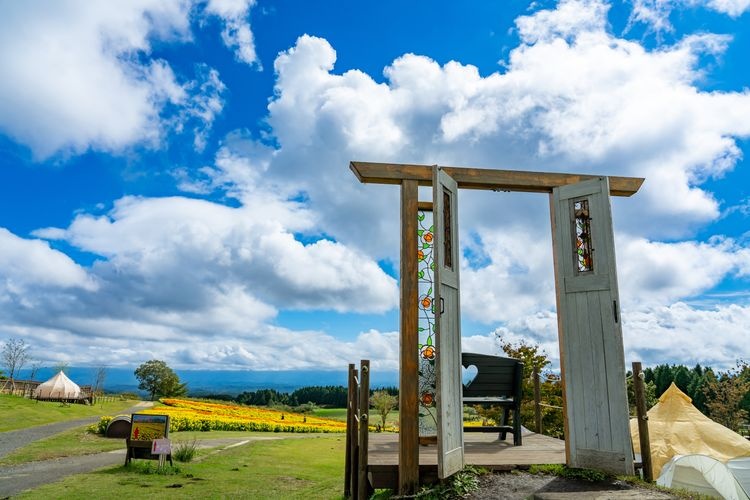 Kuju Hana Koen (Parque de las Flores de Kuju) 2