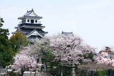 Tourist destination images of Nakatsu Castle (Okudaira Family History Museum)(2)