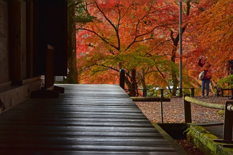 Tourist destination images of Fukiji Temple(4)