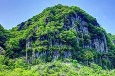耶馬渓（青の洞門）の観光地画像(3)