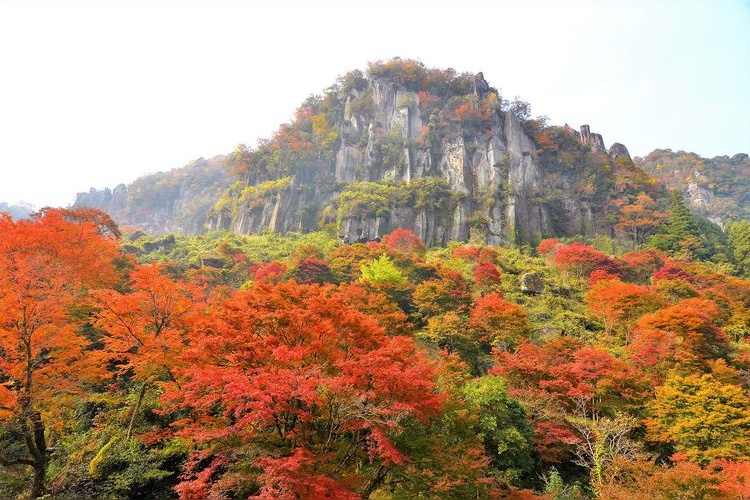 耶馬渓（青の洞門）の観光地画像(5)