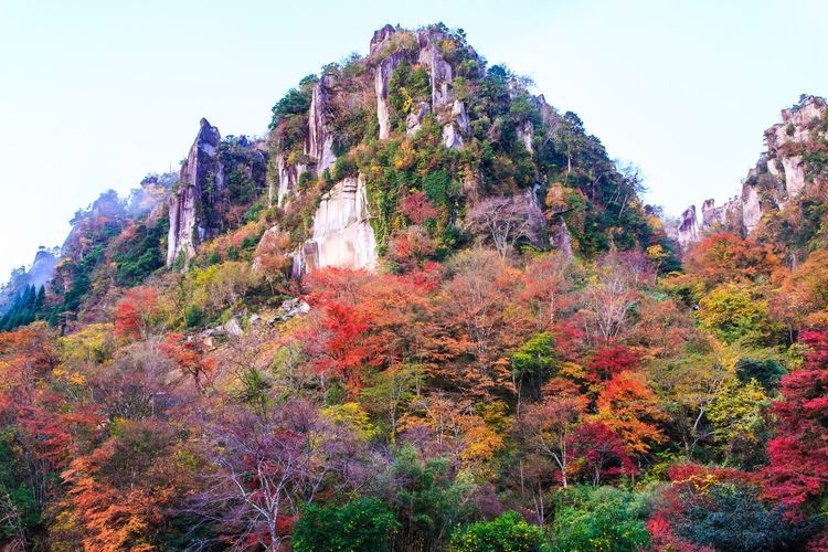 耶馬渓（青の洞門）の観光地画像(7)