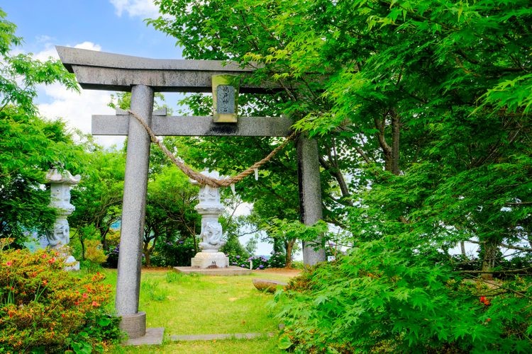 Udo Jingu Shrine 3