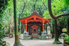 青岛神社（鬼的洗衣板）的旅游景点图片(3)