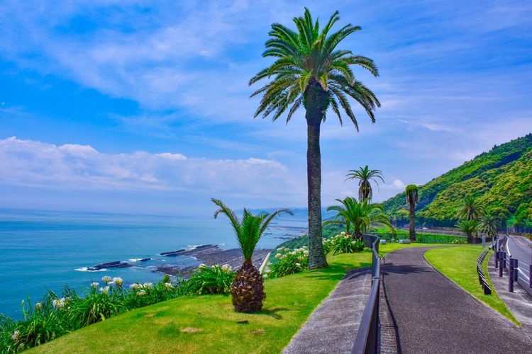 日南海岸の観光地画像(2)