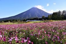 生驹高原的旅游景点图片(6)