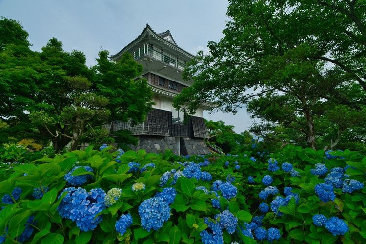 아지사이 공원 (Ajisai Park) 3