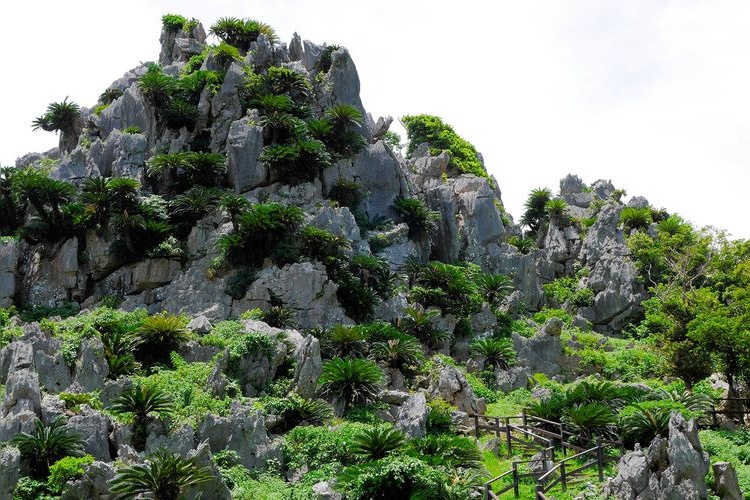 Ooishirinzan (Great Stone Forest)