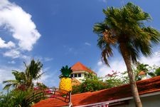 Tourist destination images of Nago Pineapple Park(1)