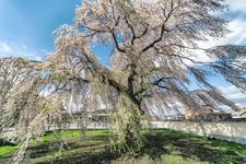 Tourist destination images of Houkame-ji Temple(2)