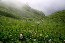 Tourist destination images of Rebun Island(1)