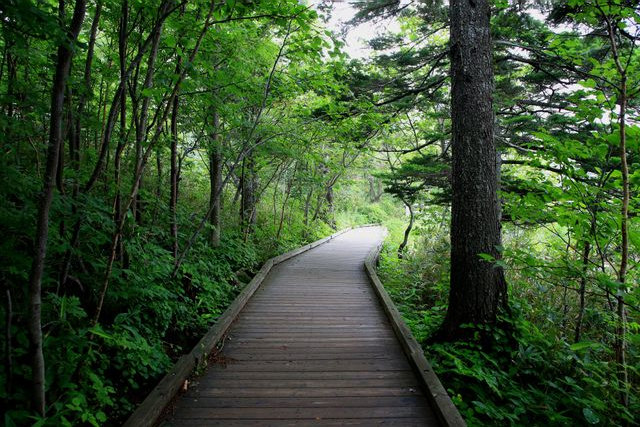 Rishiri Island