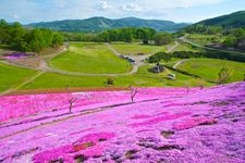 Tourist destination images of Taiyo no Oka Engaru Park (Sun's Hill Engaru Park)(3)