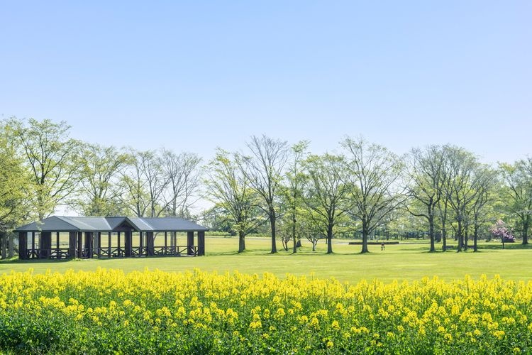Yurigahara Park 2