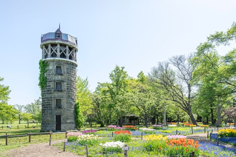 Yurigahara Park 3