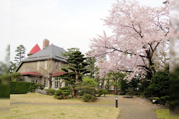 Fujita Memorial Garden